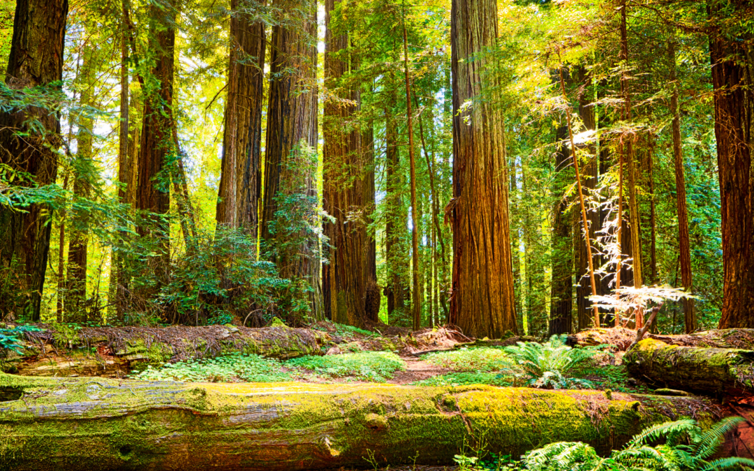 Summer Travel Destinations for Healthcare Travelers