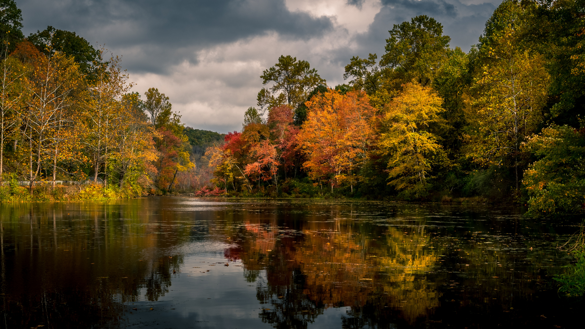 Fall Foliage Reflected in the Lake at  Cheaha State Park, Alabama